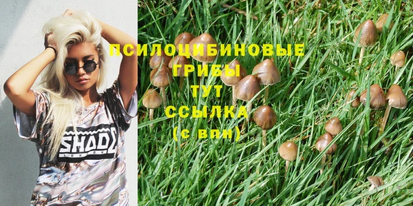 ГАЛЛЮЦИНОГЕННЫЕ ГРИБЫ Баксан