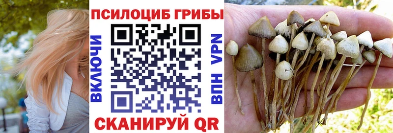 Галлюциногенные грибы MAGIC MUSHROOMS  Ливны 