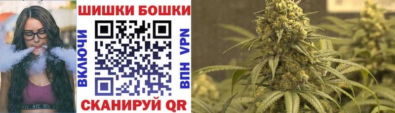 Каннабис сатива mega ССЫЛКА Ливны